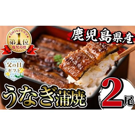ふるさと納税 うなぎ 鹿児島県 出水市 i505-f 父の日ギフト 鹿児島県産うなぎ蒲焼2尾セット(約140g×2・計約280g) うなぎ 鰻 ウナギ 2尾 蒲焼き 国産 鹿児島県…