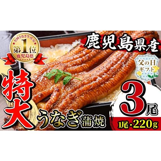 ふるさと納税 うなぎ 鹿児島県 出水市 i1078-B-f 父の日ギフト ＼特大サイズ/鹿児島県産 うなぎ蒲焼 3尾(約220g×3・計約660g) たれ 山椒付きうなぎ 鰻 ウ…