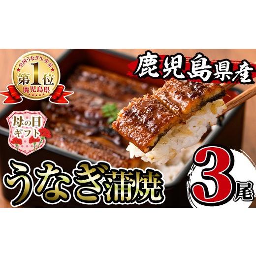 ふるさと納税 うなぎ 鹿児島県 出水市 i506-m 母の日ギフト 鹿児島県産うなぎ蒲焼3尾セット(約140g×3・計約420g) うなぎ 鰻 ウナギ 3尾 蒲焼き 国産 鹿児島県…