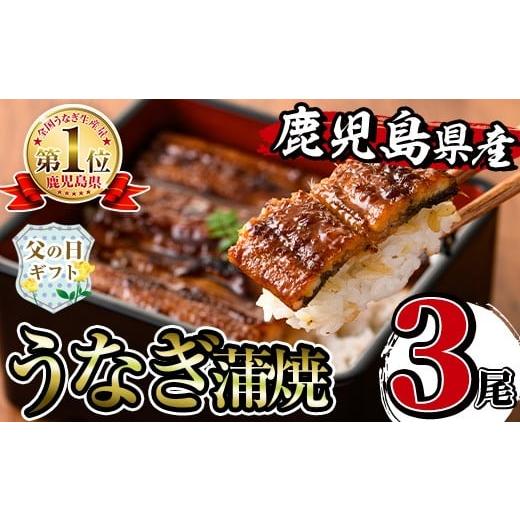 ふるさと納税 うなぎ 鹿児島県 出水市 i506-f 父の日ギフト 鹿児島県産うなぎ蒲焼3尾セット(約140g×3・計約420g) うなぎ 鰻 ウナギ 3尾 蒲焼き 国産 鹿児島県…