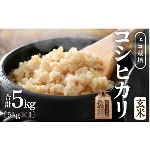 ふるさと納税 玄米 福井県 あわら市 先行予約 令和8年産 新米 エコ栽培 コシヒカリ 玄米5kg / 鮮度抜群 福井県産 こしひかり ご飯 新鮮 玄米 2026年10月上…