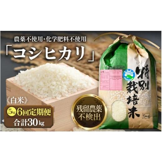 ふるさと納税 米 コシヒカリ 福井県 あわら市 先行予約 令和8年産 新米 定期便[6ヶ月連続お届け]特別栽培米コシヒカリ 精米 5kg×6回(計30kg) 農薬不使用…