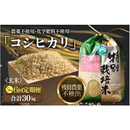 ふるさと納税 玄米 福井県 あわら市 先行予約 令和8年産 新米 定期便[6ヶ月連続お届け]特別栽培米コシヒカリ 玄米 5kg×6回(計30kg) 農薬不使用 化学肥料…