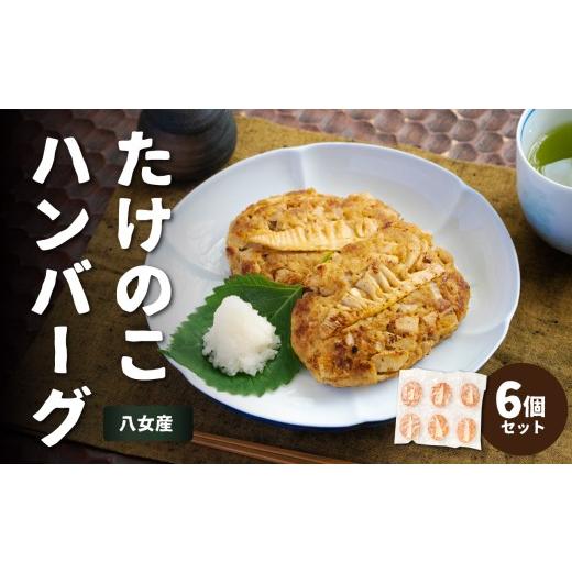 ふるさと納税 牛肉 ハンバーグ 福岡県 八女市 たけのこハンバーグ6個セット 惣菜 弁当 夕食 おかず たけのこ 筍 ハンバーグ ジューシー 焼くだけ 簡単 小分け …