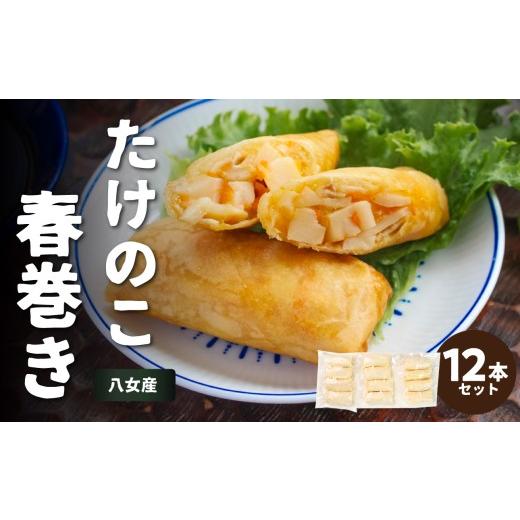 ふるさと納税 惣菜・レトルト 冷凍 福岡県 八女市 たけのこ春巻き12本セット 総菜 おかず お弁当 夕食 おつまみ 揚げるだけ 簡単 簡単調理 たけのこ 筍 小分け…