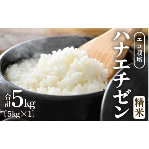 ふるさと納税 米 福井県 あわら市 先行予約 令和8年産 新米 エコ栽培ハナエチゼン 白米5kg / 鮮度抜群 福井県産 はなえちぜん ご飯 新鮮 白米 2026年9月上…