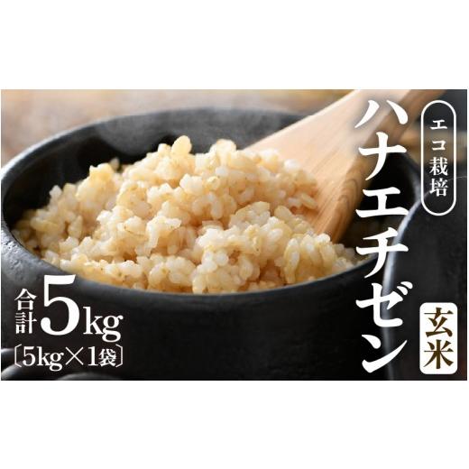 ふるさと納税 米 福井県 あわら市 先行予約 令和8年産 新米 エコ栽培ハナエチゼン 玄米5kg / 鮮度抜群 福井県産 はなえちぜん ご飯 新鮮 玄米 2026年9月上…