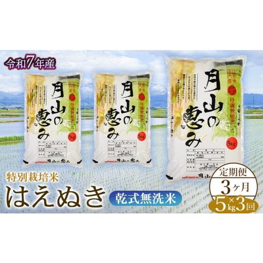 ふるさと納税 米 はえぬき 山形県 鶴岡市 3ヶ月定期便 令和7年産 特別栽培米 はえぬき 乾式無洗米 5kg (5kg×1袋) ×3回 毎月1回中旬発送 山形県鶴岡市産 米…