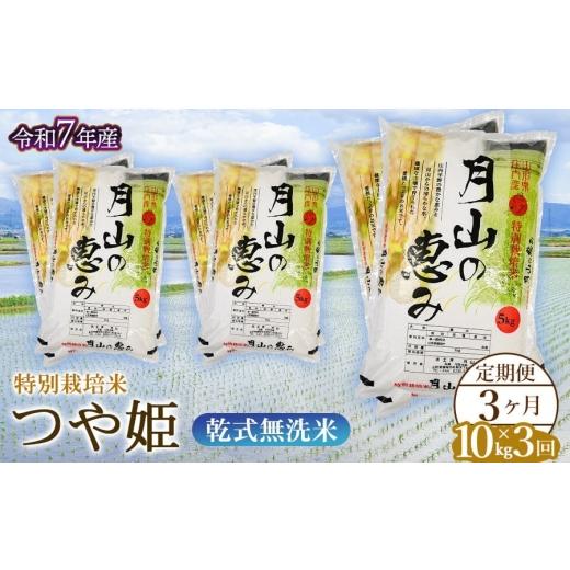 ふるさと納税 米 つや姫 山形県 鶴岡市 3ヶ月定期便 令和7年産 特別栽培米 つや姫 乾式無洗米 10kg (5kg×2袋) ×3回 毎月1回中旬発送 山形県鶴岡市産 米工…
