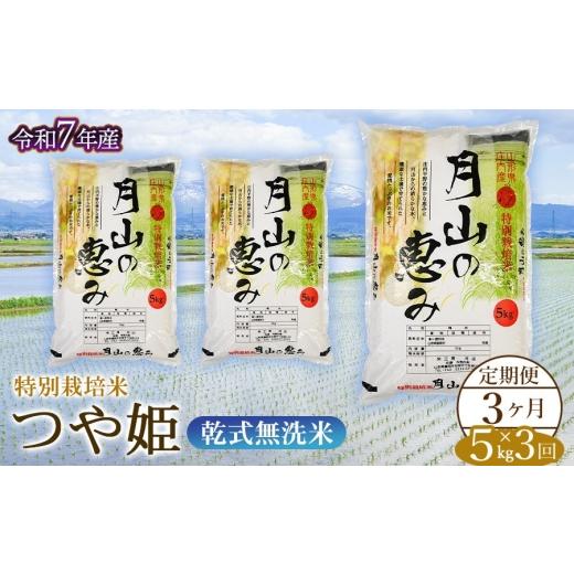 ふるさと納税 米 つや姫 山形県 鶴岡市 3ヶ月定期便 令和7年産 特別栽培米 つや姫 乾式無洗米 5kg (5kg×1袋) ×3回 毎月1回中旬発送 山形県鶴岡市産 米工房…