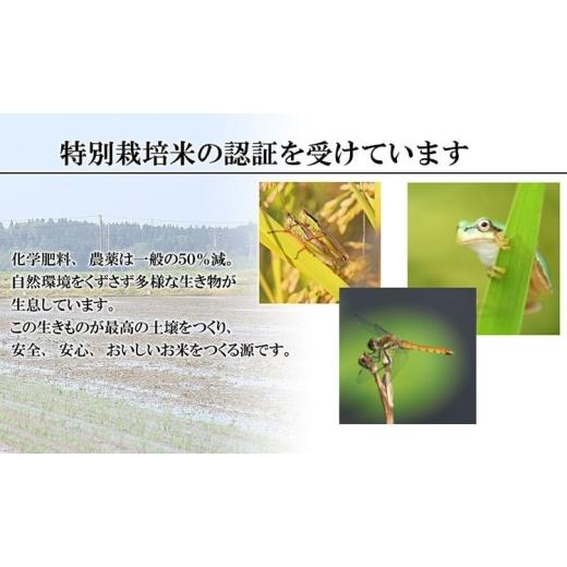ふるさと納税 米 はえぬき 山形県 鶴岡市 令和7年産 特別栽培米 はえぬき 乾式無洗米 10kg (5kg×2袋) 山形県鶴岡市産　米工房 月山 令和8年6月8日〜6月14日…