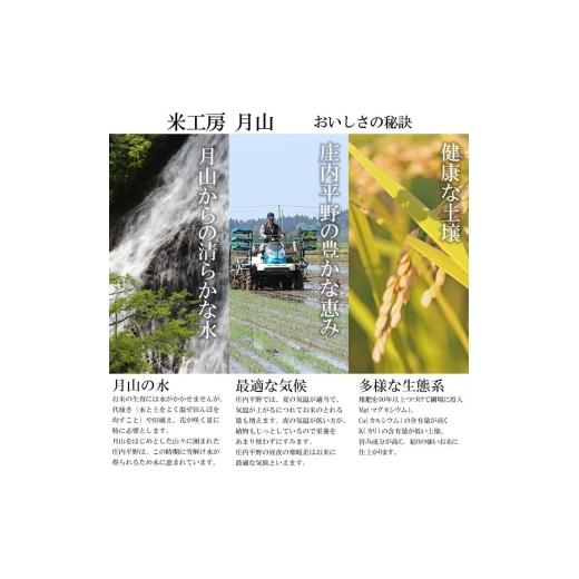 ふるさと納税 米 はえぬき 山形県 鶴岡市 令和7年産 特別栽培米 はえぬき 乾式無洗米 10kg (5kg×2袋) 山形県鶴岡市産　米工房 月山 令和8年6月15日〜6月21日…
