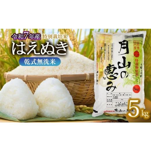ふるさと納税 米 はえぬき 山形県 鶴岡市 令和7年産 特別栽培米 はえぬき 乾式無洗米 5kg (5kg×1袋) 山形県鶴岡市産 米工房 月山 令和8年6月22日〜6月28日…