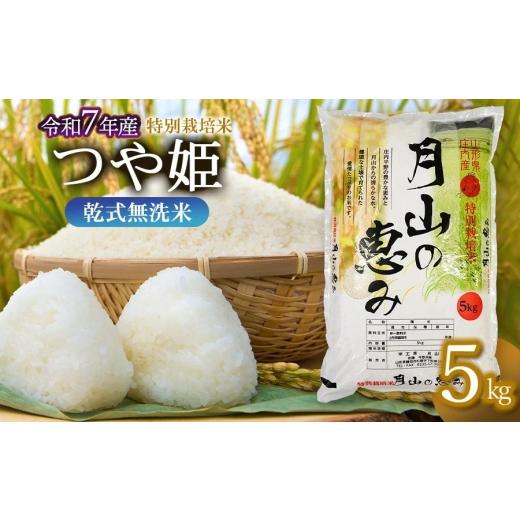 ふるさと納税 米 つや姫 山形県 鶴岡市 令和7年産 特別栽培米 つや姫 乾式無洗米 5kg (5kg×1袋) 山形県鶴岡市産 米工房 月山 令和8年6月1日〜6月7日発送 | …