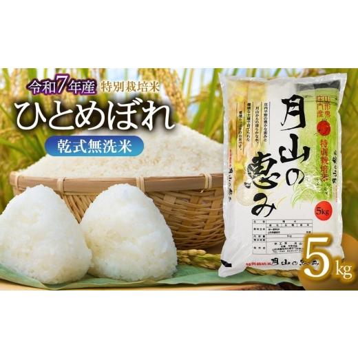 ふるさと納税 米 ひとめぼれ 山形県 鶴岡市 令和7年産 特別栽培米 ひとめぼれ 乾式無洗米 5kg (5kg×1袋) 山形県鶴岡市産 米工房 月山 令和8年5月11日〜5月1…