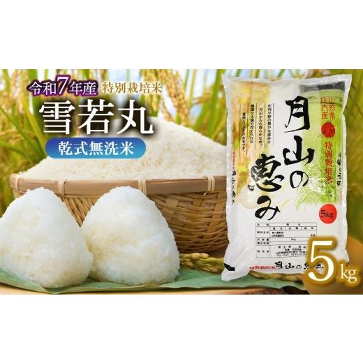 ふるさと納税 米 山形県 鶴岡市 令和7年産 特別栽培米 雪若丸 乾式無洗米 5kg (5kg×1袋) 山形県鶴岡市産 米工房 月山 令和8年5月11日〜5月17日発送 | 国産 …