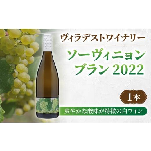 ふるさと納税 ワイン 白ワイン 長野県 東御市 日本ワインコンクール受賞 長野 ワイン ソーヴィニョンブラン(白ワイン)| ヴィラデストワイナリー 長野 東御