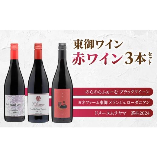 ふるさと納税 ワイン 赤ワイン 長野県 東御市 長野ワイン(赤ワイン) 飲み比べ 3本セット| のらのらふぁーむ ブラッククイーン、 ヨネファーム東御 メランジ…