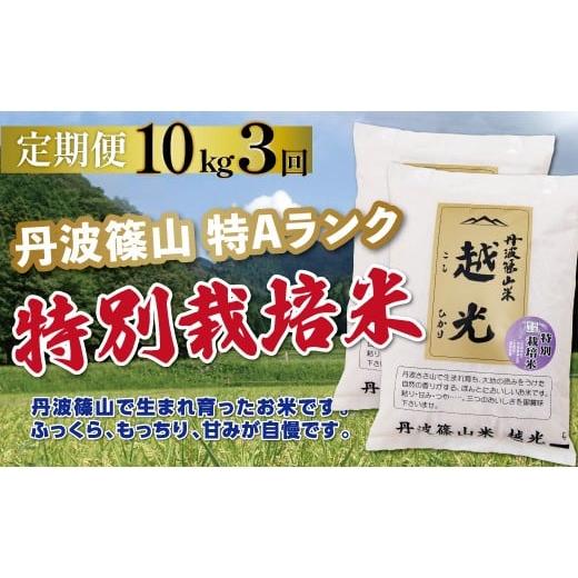ふるさと納税 米 コシヒカリ 兵庫県 丹波篠山市 [定期便 特Aランク 減農薬]令和7年産 丹波篠山産 特別栽培米 コシヒカリ 越光 10kg ( 5kg × 2袋 ) 3回 | 丹…