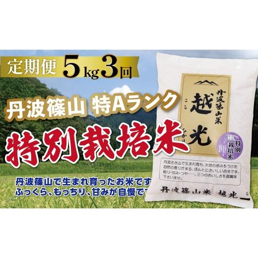 ふるさと納税 米 コシヒカリ 兵庫県 丹波篠山市 [定期便 特Aランク 減農薬]令和7年産 丹波篠山産 特別栽培米 コシヒカリ 越光 5kg × 3回 | 丹波篠山 お米 …