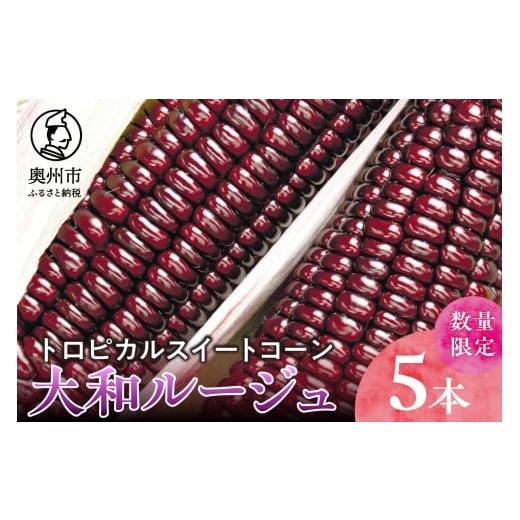 ふるさと納税 とうもろこし 岩手県 奥州市 先行予約 とうもろこし 大和ルージュ 5本 数量限定 2026年9月上旬から出荷 離島配送不可 野菜 赤いとうもろこし モ…