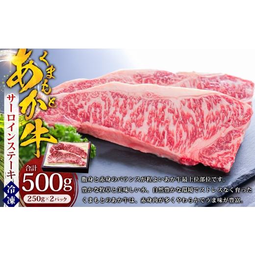 ふるさと納税 牛肉 サーロイン 熊本県 湯前町 くまもとあか牛 サーロインステーキ 約500g (約250g×2パック) あか牛 赤牛 サーロイン ステーキ 熊本県産 和…