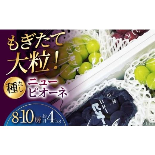 ふるさと納税 果物類 ぶどう 広島県 三次市 2026年先行予約 三次の葡萄 ニューピオーネ(約4kg/8から10房) 8月下旬頃から順次発送 三次市 / 黒瀬ぶどう園 …