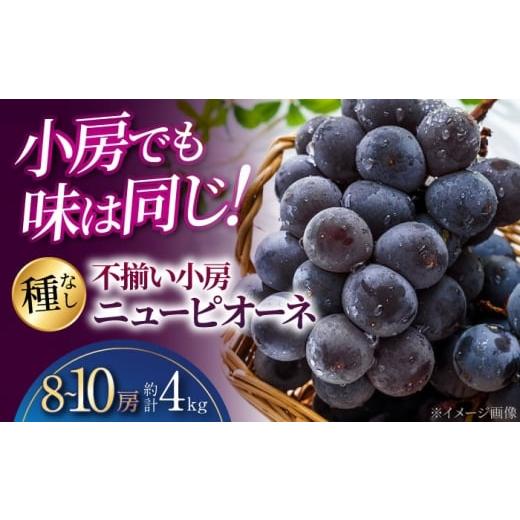 ふるさと納税 果物類 ぶどう 広島県 三次市 2026年先行予約 不揃い 三次のぶどう ニューピオーネ(約4kg/8から10房) 8月下旬頃から順次発送 小房 三次市 /…