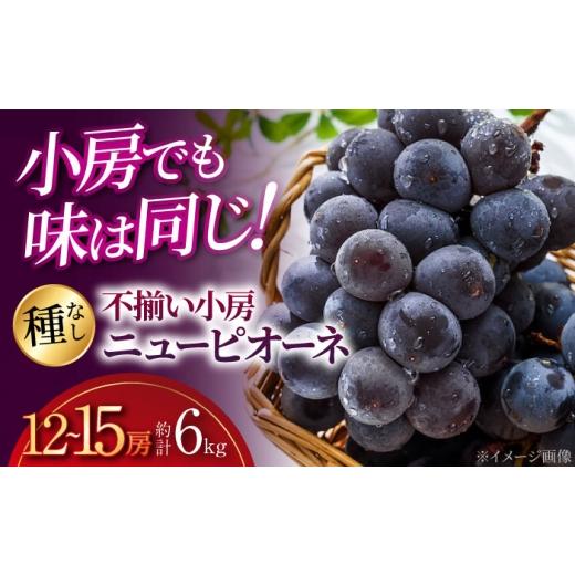 ふるさと納税 果物類 ぶどう 広島県 三次市 2026年先行予約 訳あり 三次のぶどう ニュー ピオーネ 不揃い(約6kg/12から15房) 8月下旬頃から順次発送 小房 …
