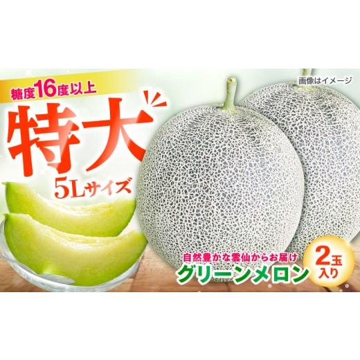 ふるさと納税 メロン メロン青肉 長崎県 - 雲仙育ち 糖度16度 グリーンメロン 5L(約2.2kg以上)×2玉 6月発送 長崎県/栗林FLOWER 42A