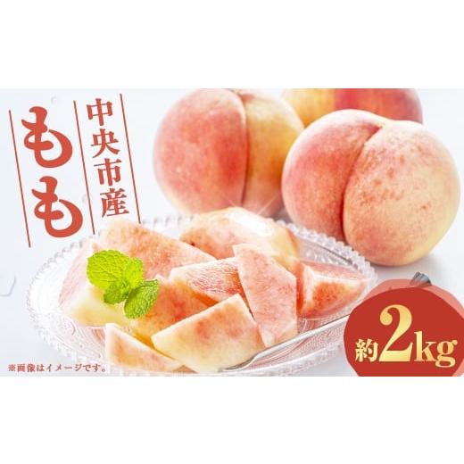 ふるさと納税 もも 山梨県 中央市 中央市産 もも 約2kg くだもの 果物 フルーツ ピーチ モモ 桃 旬の果物 国産 山梨県産 2026年7月下旬発送予定