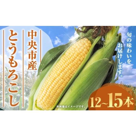 ふるさと納税 とうもろこし 山梨県 中央市 中央市産 とうもろこし 12〜15本 コーン 野菜 やさい 旬のお野菜 国産 山梨県産 2026年6月下旬発送予定