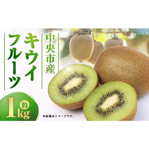 ふるさと納税 果物類 山梨県 中央市 中央市産 キウイフルーツ ( ヘイワード ) 約1kg フルーツ 果物 くだもの キウイ 国産 山梨県産 旬の果物 2026年12月下旬…