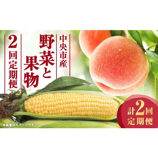 ふるさと納税 とうもろこし 山梨県 中央市 2回定期便 中央市産 とうもろこし、もも くだもの 果物 フルーツ 野菜 やさい ピーチ コーン 旬のお野菜 旬の果物 …