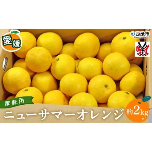 ふるさと納税 みかん・柑橘類 愛媛県 西予市 愛媛県西予市産 ニューサマーオレンジ 家庭用 約2kg 訳あり ワケアリ ご自宅用 果物 フルーツ ミカン 柑橘 日向…