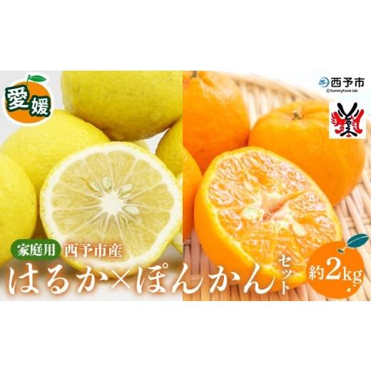 ふるさと納税 果物類 みかん 愛媛県 西予市 愛媛西予市産 はるか・ぽんかんセット 家庭用 約2kg 柑橘 果物 フルーツ ポンカン ミカン みかん オレンジ 特産品…