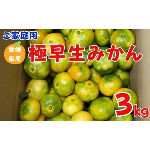 ふるさと納税 果物類 みかん 愛媛県 伊予市 極早生みかん 3kg ご家庭用 農園直送 先行予約 10月上旬から順次発送予定 愛媛 数量限定 愛媛県産 人気 柑橘 伊予…
