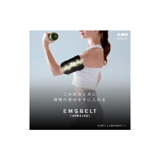 ふるさと納税 美容・健康家電 大阪府 高槻市 EMSベルト アーム&amp;レッグ/MCB045