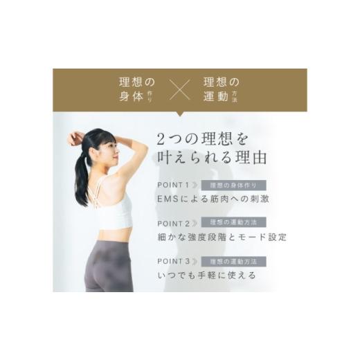 ふるさと納税 美容・健康家電 大阪府 高槻市 EMSベルト アーム&レッグ／MCB045 AOAB110