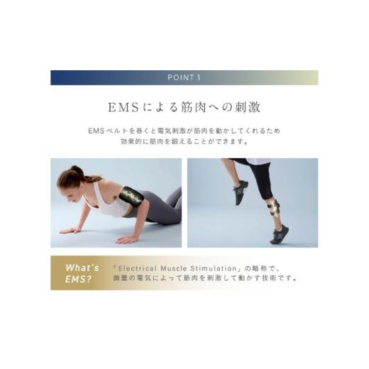 ふるさと納税 美容・健康家電 大阪府 高槻市 EMSベルト アーム&レッグ／MCB045 AOAB110