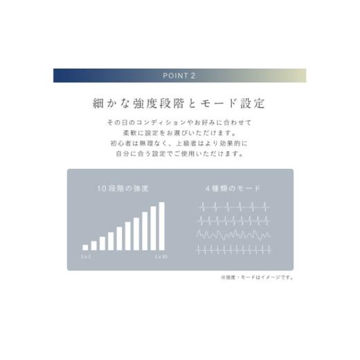 ふるさと納税 美容・健康家電 大阪府 高槻市 EMSベルト アーム&レッグ／MCB045 AOAB110