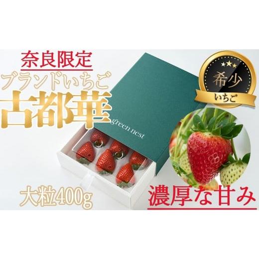 ふるさと納税 いちご 奈良県 桜井市 予約受付(R9年発送)BB-21. 奈良県ブランドいちご 奈良県産「古都華(ことか)」大粒ギフト400g/1月発送 1月発送