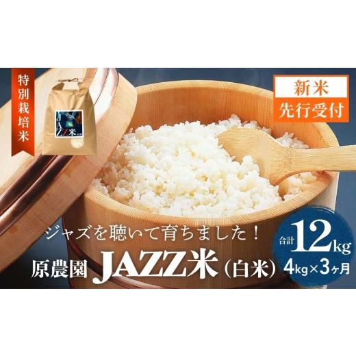 ふるさと納税 米 ひとめぼれ 大分県 玖珠町 令和8年産米先行受付 原農園 JAZZ米 白米 4kg ひとめぼれ 3回定期便 米 お米 こめ コメ 定期 定期便 ご飯 ヒトメ…