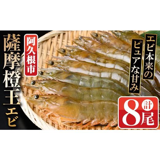 ふるさと納税 エビ 鹿児島県 阿久根市 薩摩橙王エビ(4尾入×2パック) 国産 鹿児島県産 阿久根市産 えび 海老 魚貝類 魚介類 海産物 養殖 冷凍 期間限定 数量限…