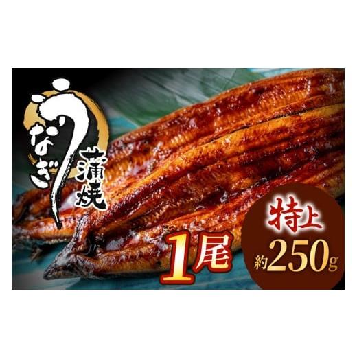 ふるさと納税 うなぎ 福岡県 宗像市 うなぎ蒲焼き1尾セット(約250g×1尾セット) 魚住商店 _HA1963 うなぎ 鰻 蒲焼 真空パック 福岡県宗像市 宗像市 福岡 宗像