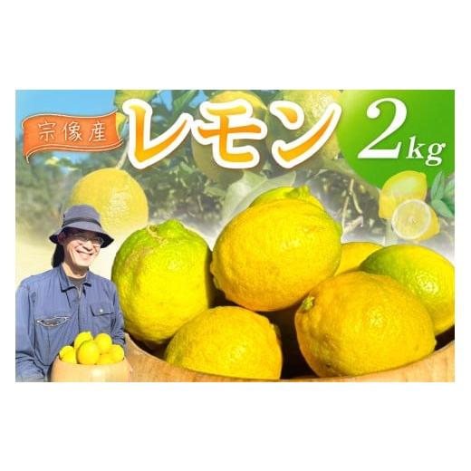 ふるさと納税 みかん・柑橘類 レモン 福岡県 宗像市 11月〜5月順次発送 宗像産レモン2kg 道の駅むなかた _HA1817 レモン 農薬不使用 国産 宗像産 ジュース ド…