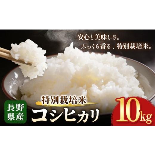 ふるさと納税 米 コシヒカリ 長野県 木島平村 木島平産 特別栽培米 コシヒカリ 約10kg | 米 こしひかり コシヒカリ 定番 品種 特別栽培 寒暖差 木島平村 長野…