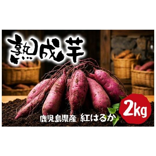 ふるさと納税 野菜類 サツマイモ 鹿児島県 垂水市 W-2105/熟成芋 (紅はるか 生芋) 2kg