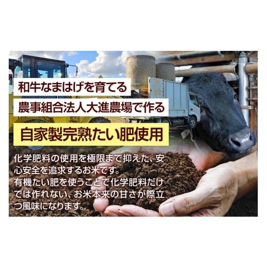 ふるさと納税 米 ミルキークイーン 秋田県 男鹿市 令和7年産 ミルキークイーン（精米）10kg（5kg×2袋）白米 こめ お米 秋田県 男鹿市 大進農場 こめ 秋田 男…_3