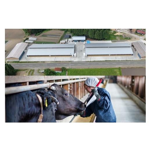 ふるさと納税 米 ミルキークイーン 秋田県 男鹿市 令和7年産 ミルキークイーン（精米）10kg（5kg×2袋）白米 こめ お米 秋田県 男鹿市 大進農場 こめ 秋田 男…_4